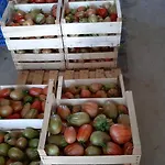 Cascina Pontetto Penzion