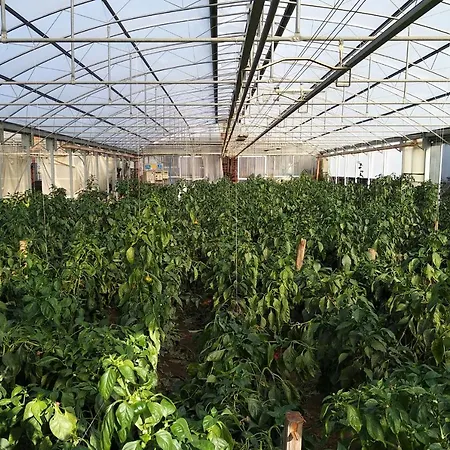 Pensión Cascina Pontetto Asti