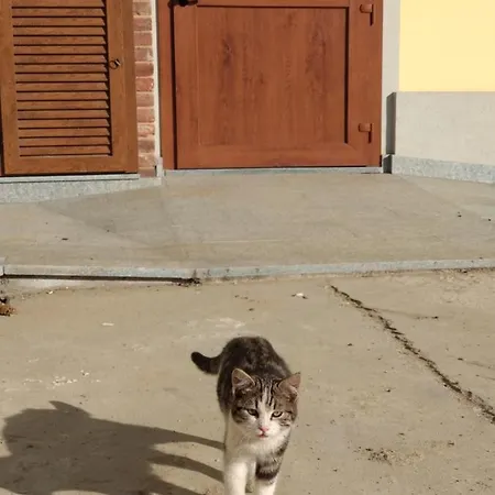 Cascina Pontetto 3* Άστι